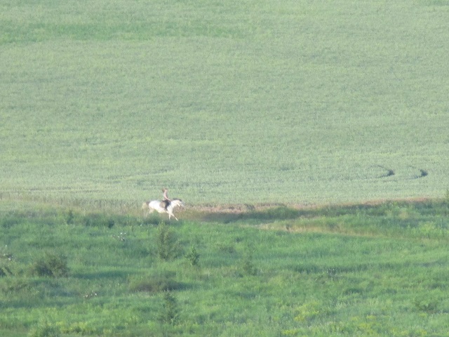 ekotyrizm 04 06 2019 9