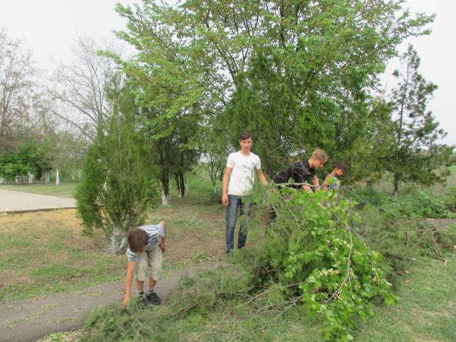 IMG 0043