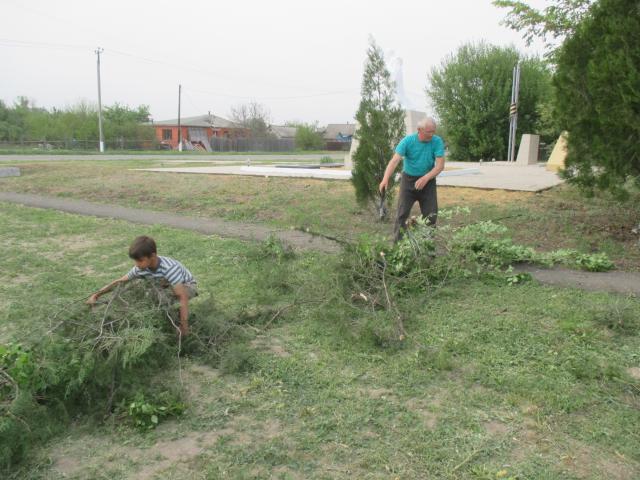 IMG 0050