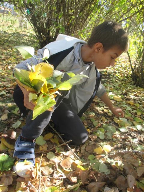 foto 18 10 2019 08 27 1 5