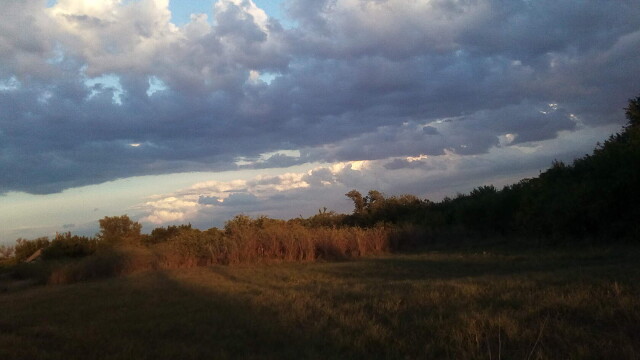 foto 23 10 2020 10 29 1