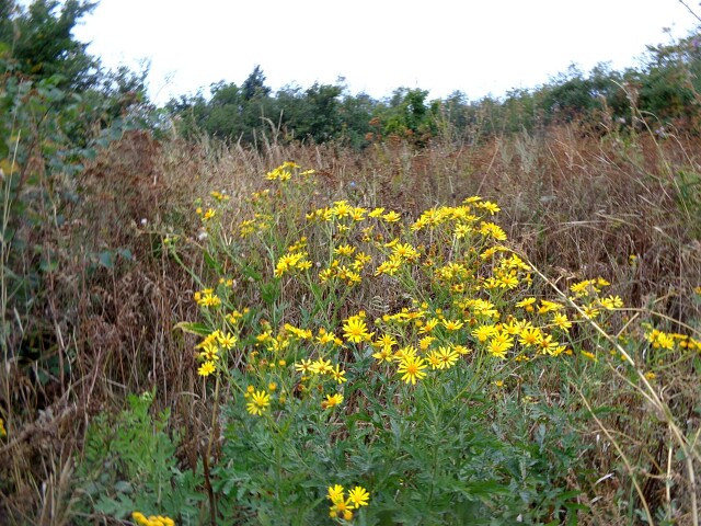 foto 23 10 2020 10 29 10