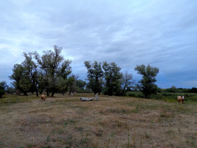 foto 23 10 2020 10 29 13