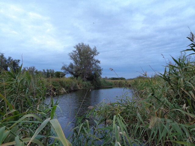 foto 23 10 2020 10 29 14