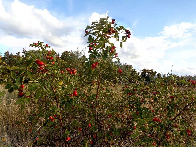 foto 23 10 2020 10 29 16