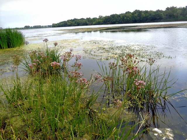 foto 23 10 2020 10 29 5