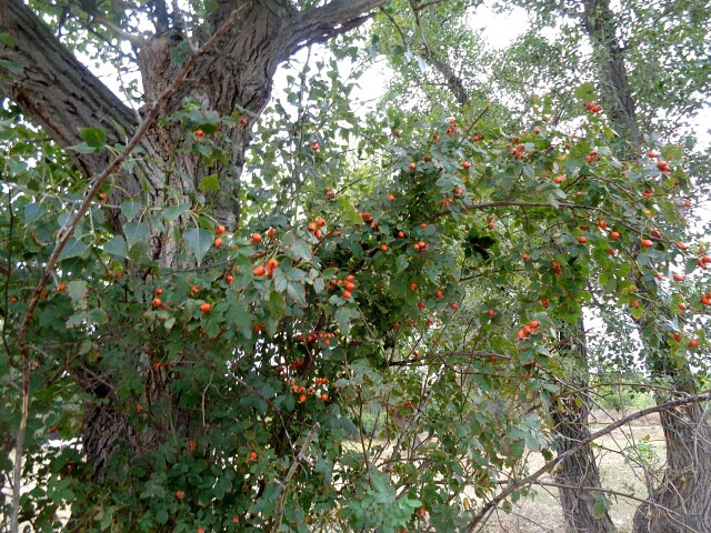 foto 23 10 2020 10 29 8