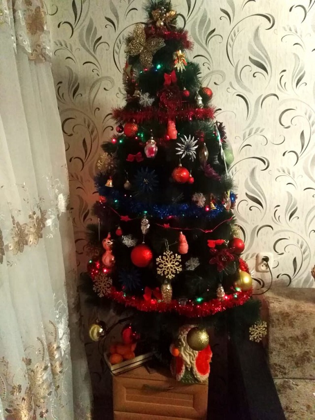 foto 29 12 2020 16 53 6