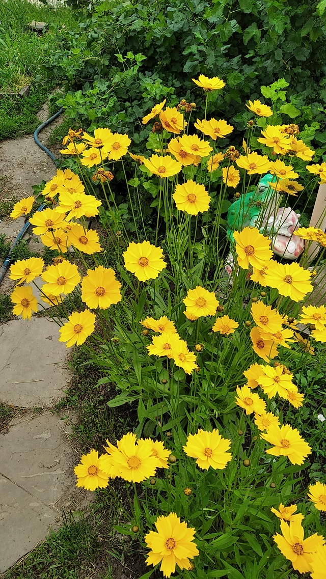 foto 01 07 2021 15 51 10