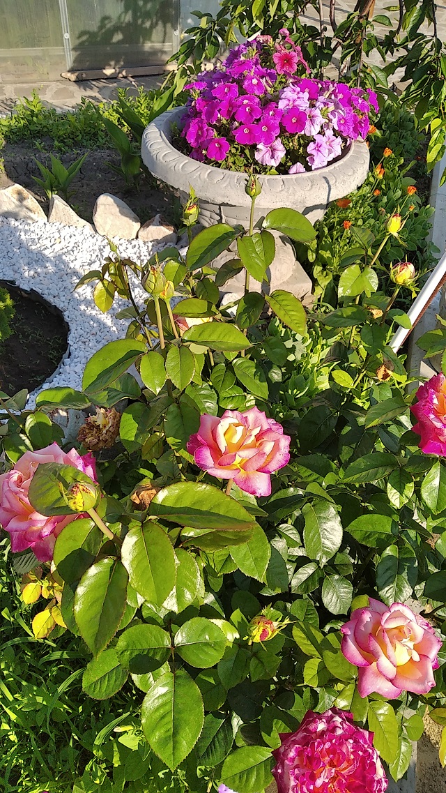 foto 01 07 2021 15 51 4