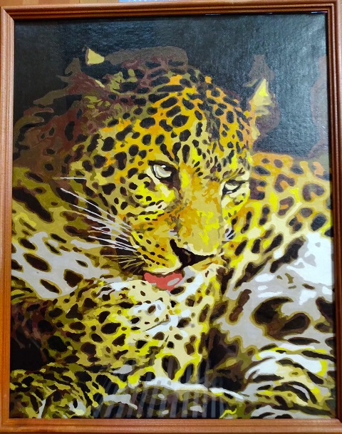 mir dikoi prirodi 3