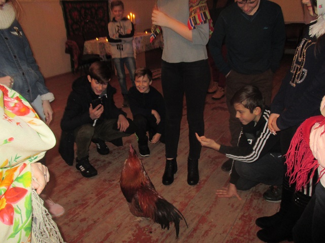 IMG 6283