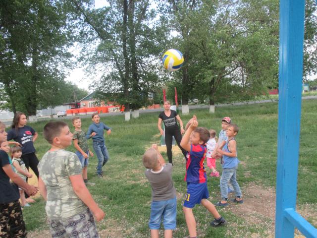IMG 0631