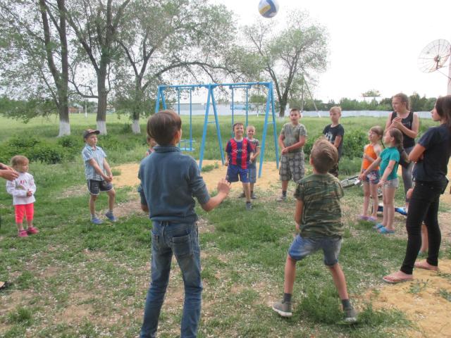 IMG 0637