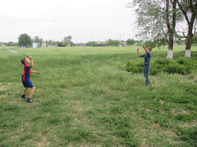 IMG 0654