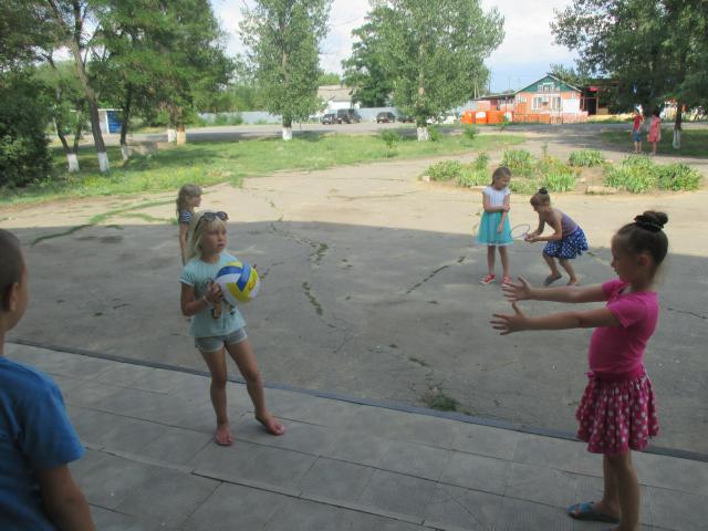 IMG 2511