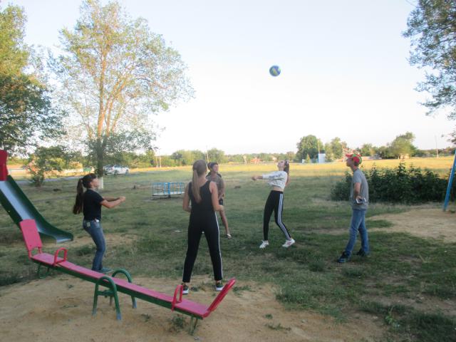 IMG 1882