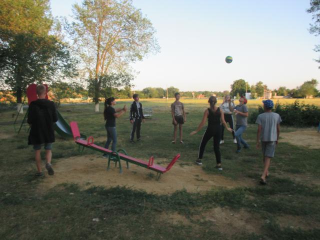 IMG 1884