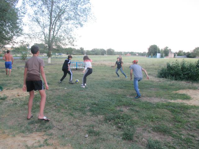 IMG 1910
