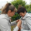 foto_Pobeda_1