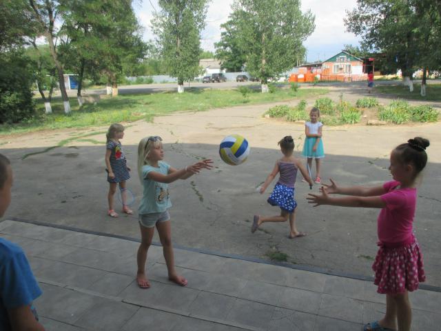 IMG 2513