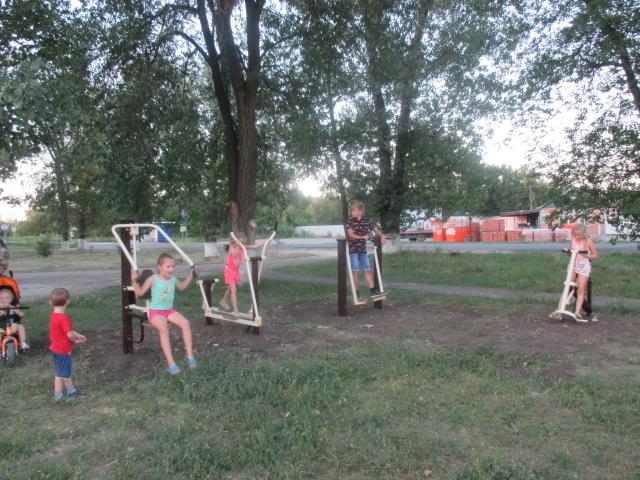 IMG 3084