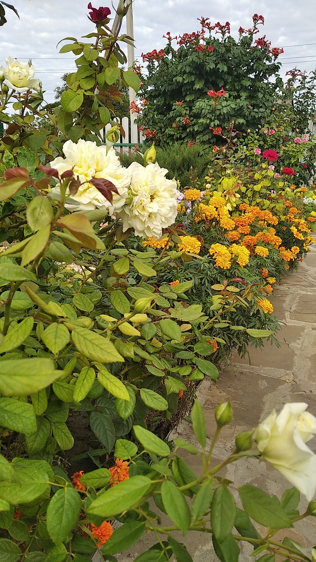 foto 22 10 2020 13 50 3