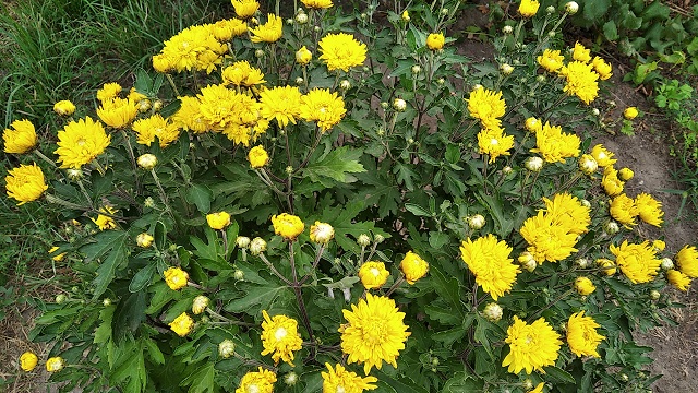 foto 16 08 2021 08 38 5