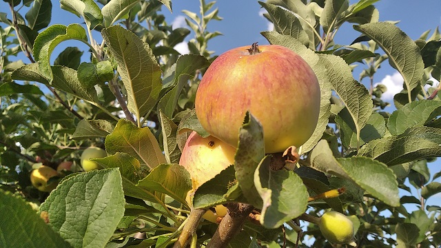 foto 16 08 2021 08 38 6