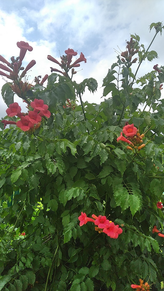 foto 23 07 2021 13 53 3