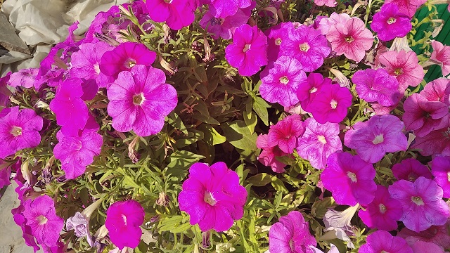 foto 23 07 2021 13 53 7