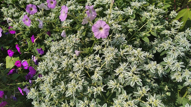 foto 23 07 2021 13 53 8