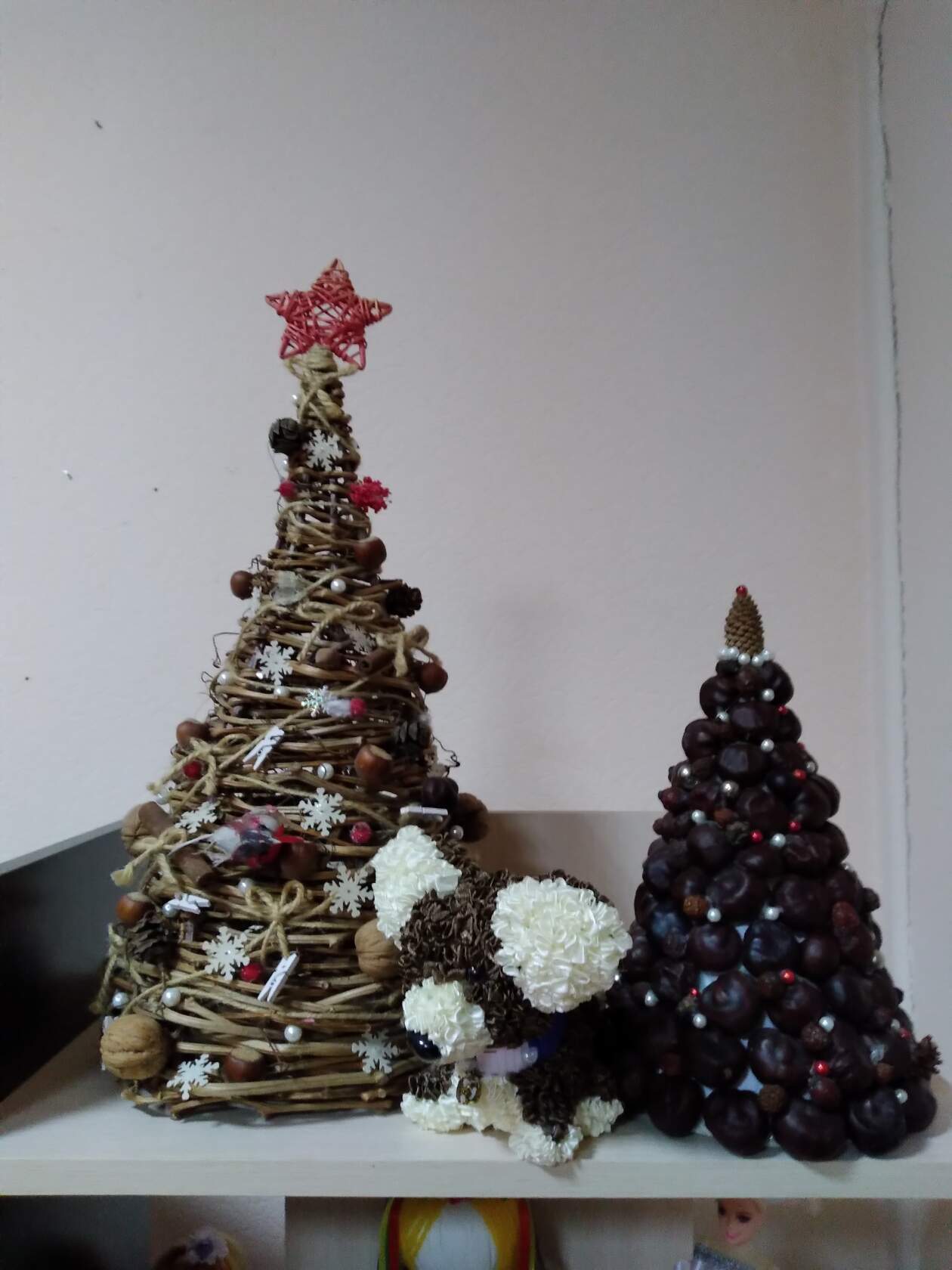 foto 08 01 2021 14 20 6