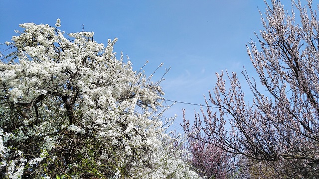foto 04 05 2022 09 14 2