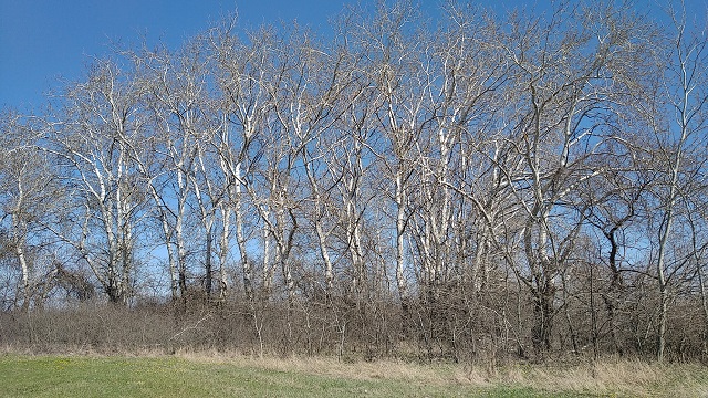 foto 20 04 2023 14 11 1