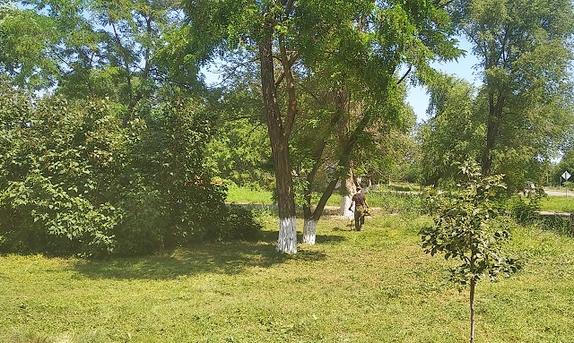 foto 2023 11 23 11 42 4