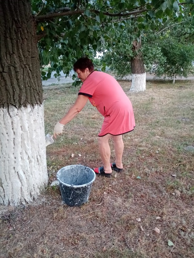 foto 2023 11 23 17 57 5