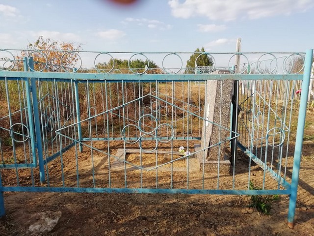 eco subbotnik 6