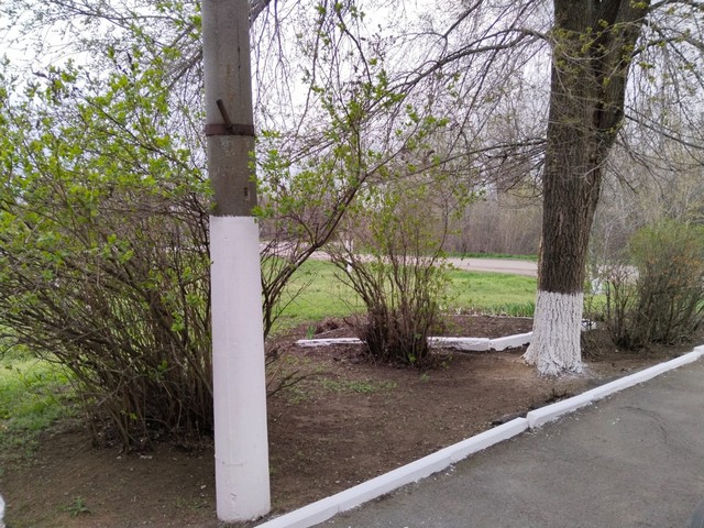 foto 2025 04 08 09 31 004