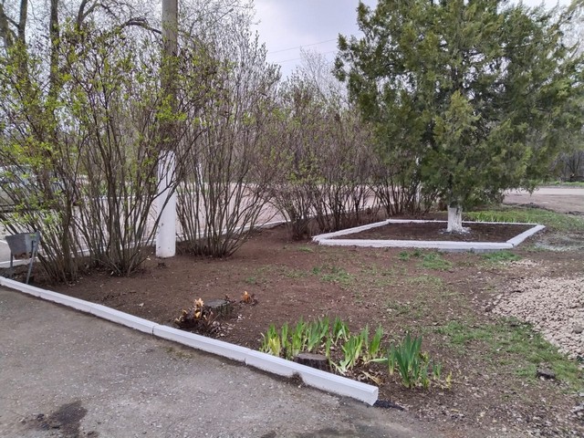 foto 2025 04 08 09 31 006
