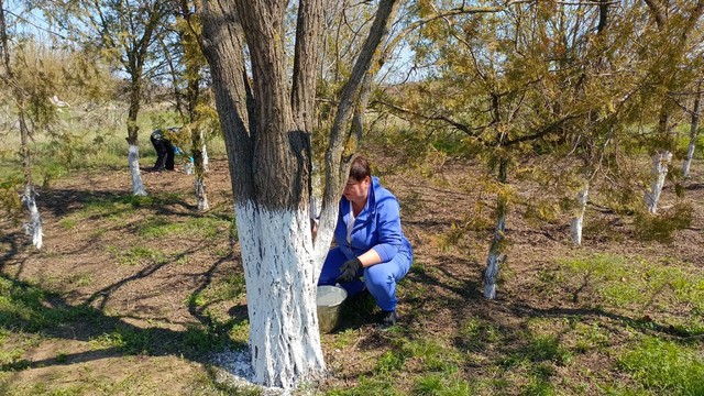 foto 2025 04 17 10 06 005