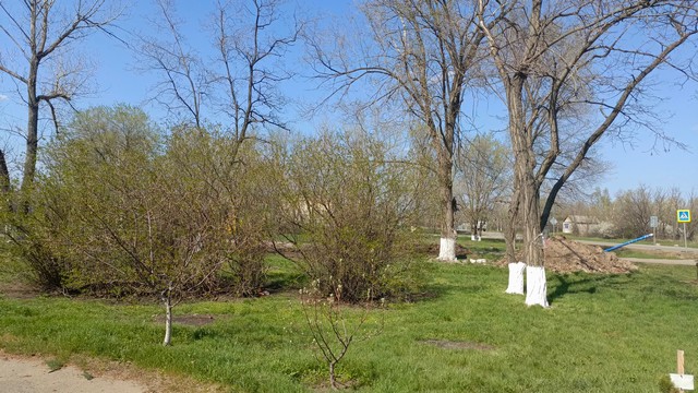 foto 2025 04 21 08 26 002