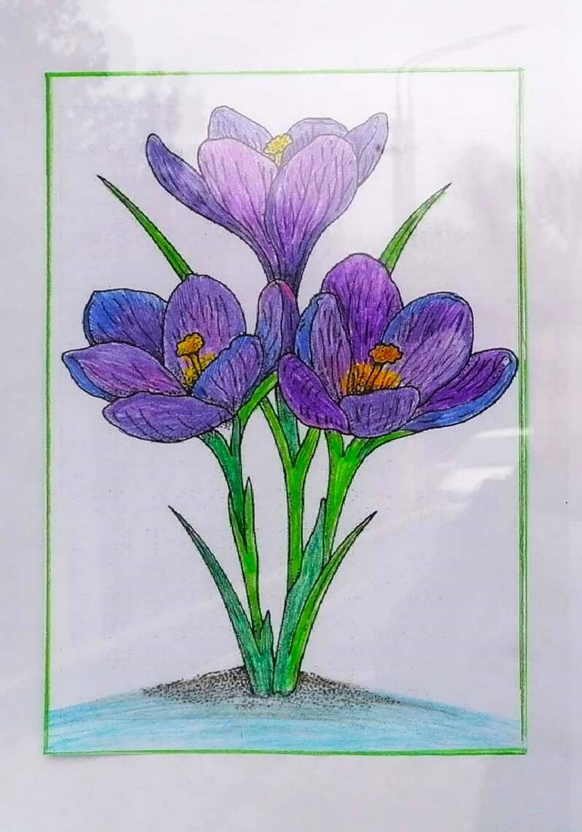 foto 2025 03 03 10 14 003