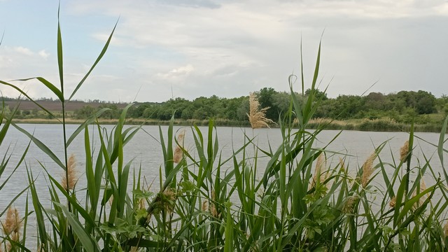 foto 2025 06 10 10 14 001