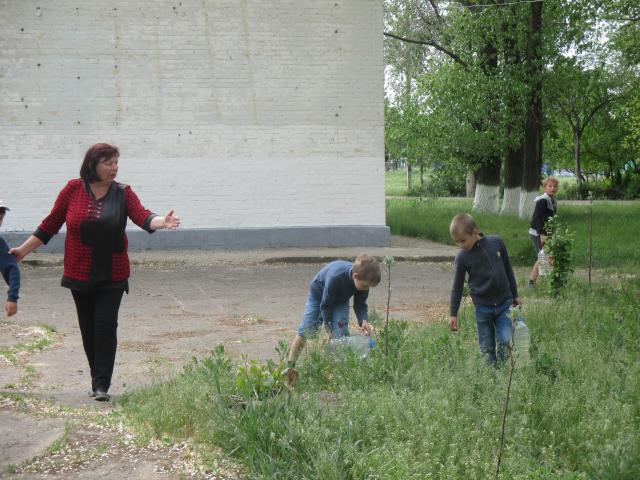 IMG 0390