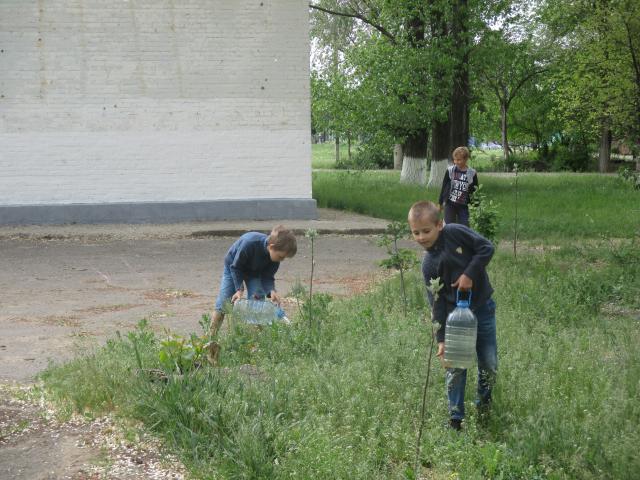 IMG 0391