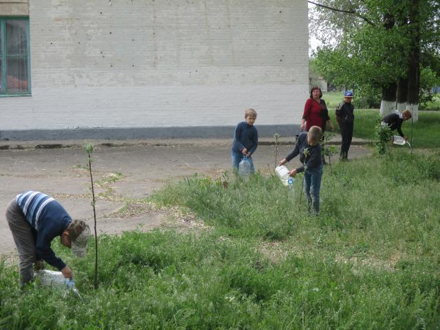 IMG 0394