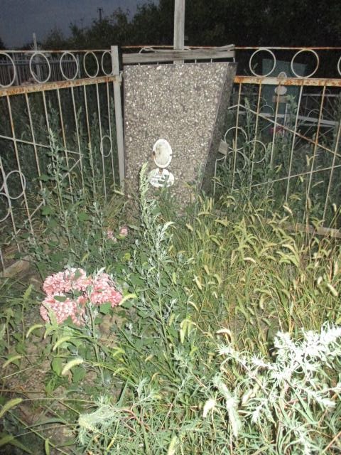 IMG 5785